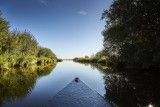 Marais de Brière