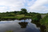 Marais et bocage