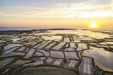 Marais salants de Guérande