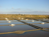 Marais salants Guérande Bretagne Plein Sud