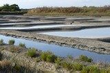 marais salants guérande la turballe