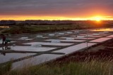 Guérande, Terre de Sel, coucher de soleil sur les marais salants