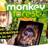 Monkey Forest Aventures & Loisirs - Saint-Molf