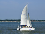 Mouette and Sea - Sortie en Catamaran - Pornichet