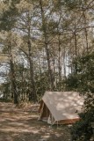 La Grande Ourse - Tente nomade foret - Mesquer Quimiac