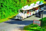 Petit Train Touristique de la Roche Bernard