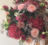 Pivoine et Capucine - Guérande