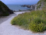 'La Baie de Convert' beach - Le Pouliguen