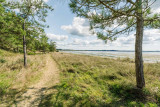 Plage du Palandrin - Pénestin