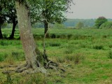 Wanderweg die Burgruine von Ranrouët in Herbignac