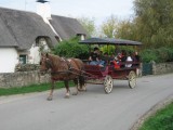 Promenade en calèche - Bréca - Saint Lyphard