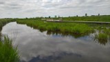  Réserve Naturelle Régionale Marais de Brière - site Pierre Constant à Saint-Malo-de-Guersac