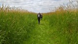 Réserve Naturelle Régionale Marais de Brière - site Pierre Constant à Saint-Malo-de-Guersac