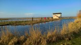 Réserve Naturelle Régionale Marais de Brière - site Pierre Constant à Saint-Malo-de-Guersac