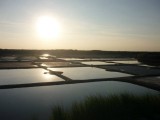 Salines chambres d'hôtes - La Roselière - Saint-Lyphard