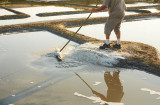 Séjour work and travel en location à Piriac-sur-Mer - Marais salants