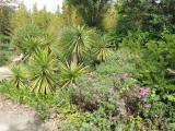 Tropicarium - Jardin exotique - La Baule