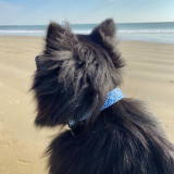Twiggy - La Baule