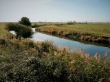 Les chaussées - Pont du Pin