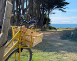 Vélo avec vue océan - Pénestin