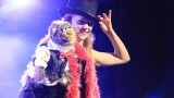 Ventriloque au cabaret - La Chapelle-des-Marais