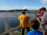 Nicolas Arnould - Visite saline - Mesquer Quimiac