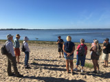 Visite du site géologique du Palandrin - Pénestin
