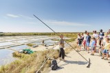 Visite guidée des marais salants