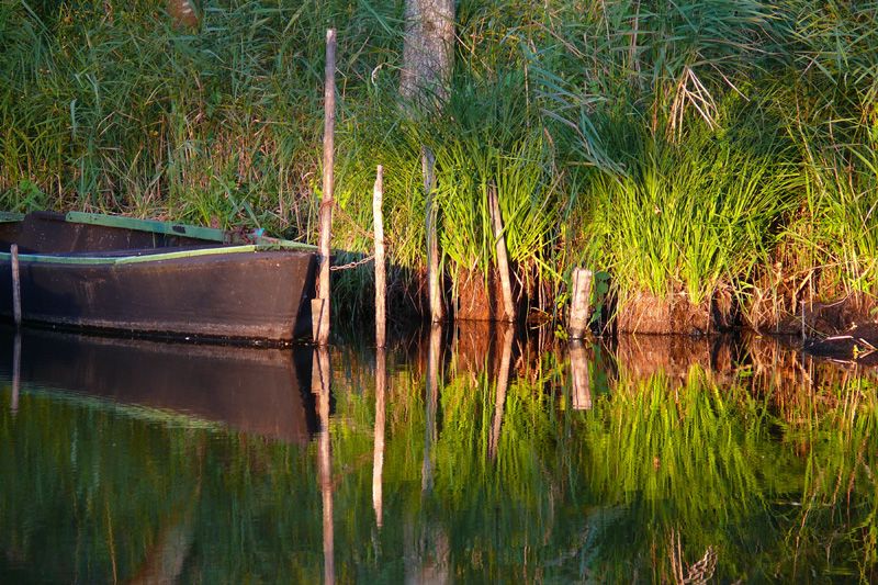 Ambiance des marais - crédit photo : B Schoch