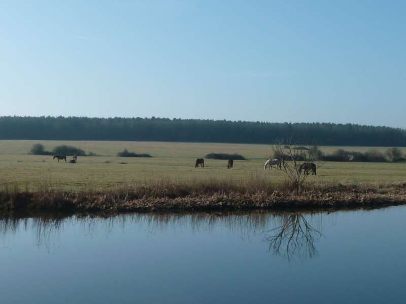 Bord de rivière