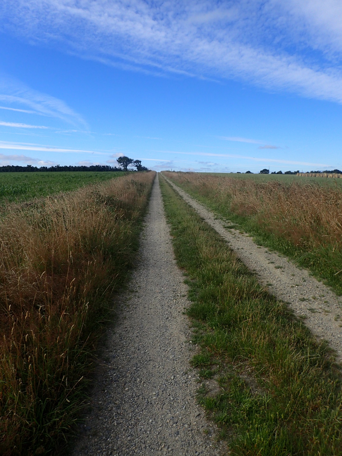 chemin