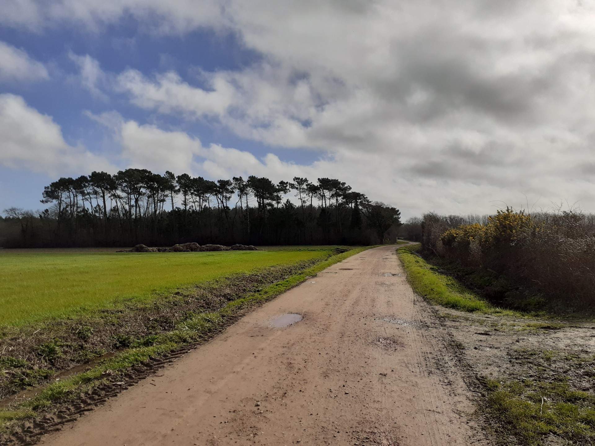 Chemin rural Assérac