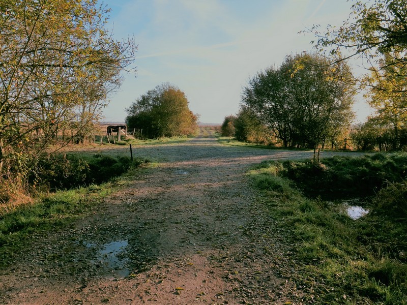 Les chaussées - Marais de la Ganache