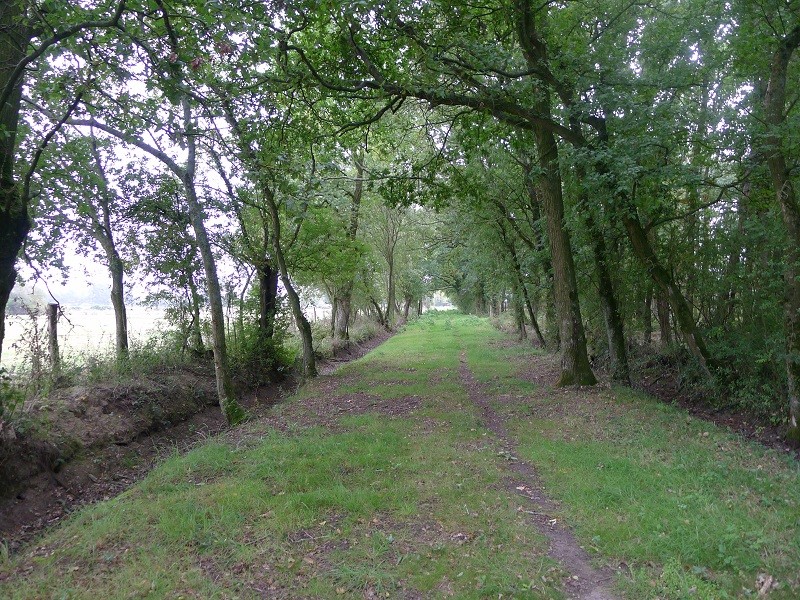 Les Marais de Maca