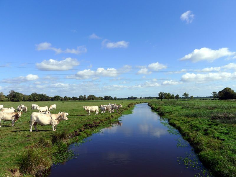 Marais du Bergelot - crédit photo: Julien Sanson