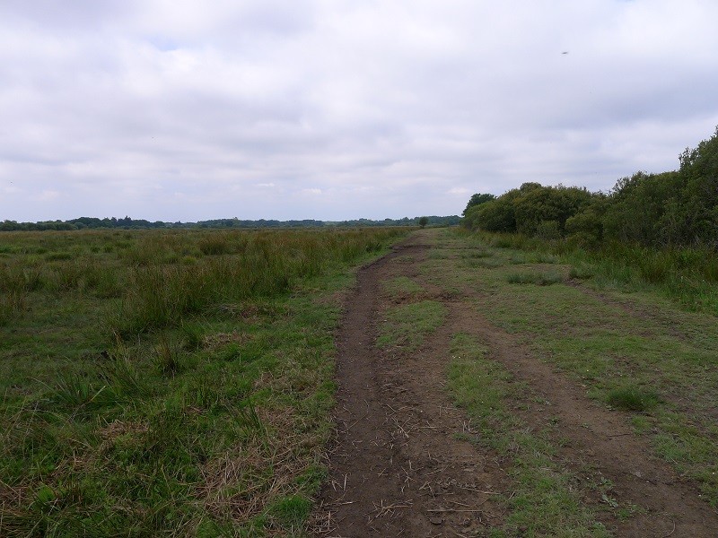 Marais et bocage