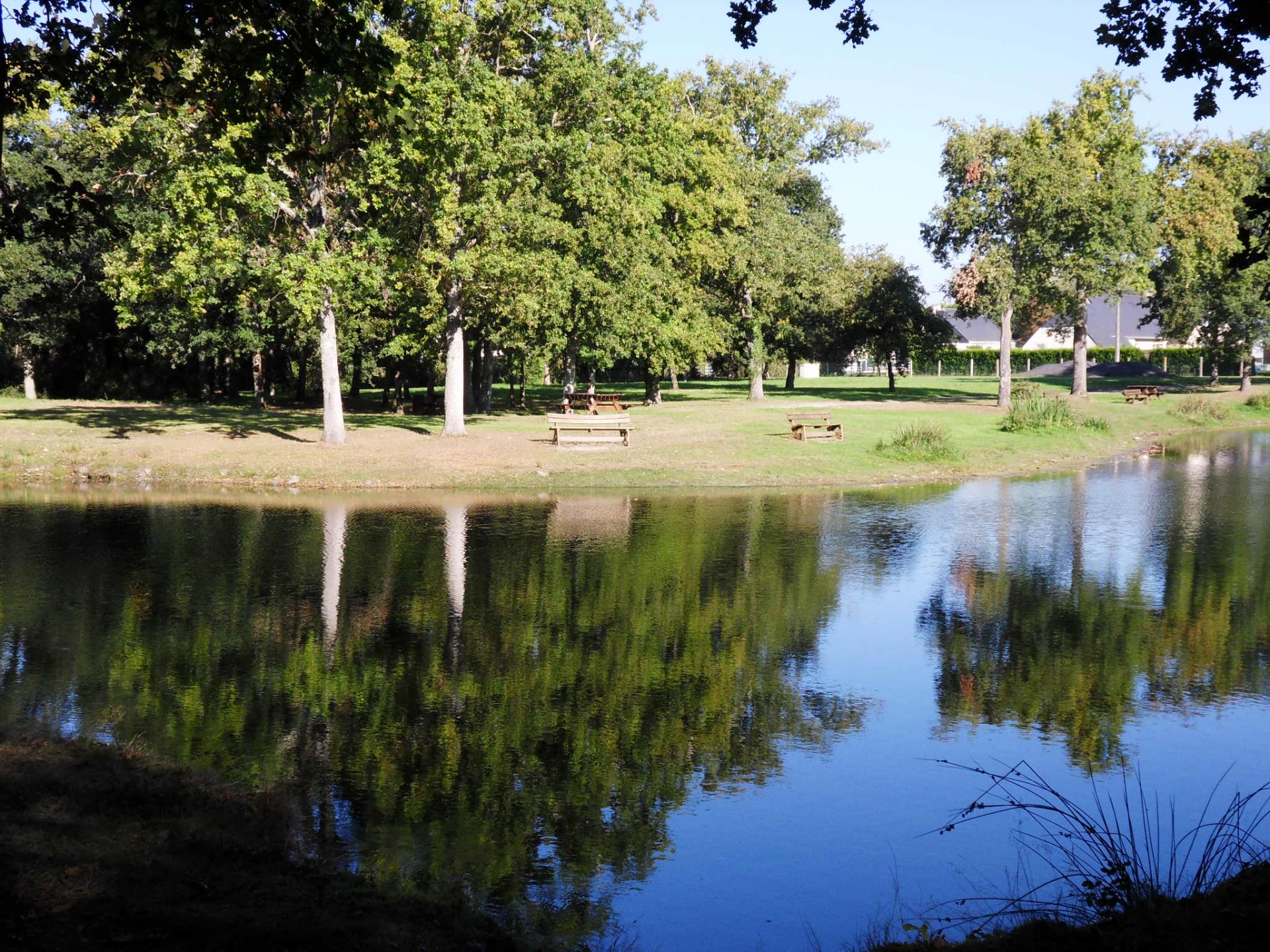 Parc des Trous à Tenaud Ste Reine de Bretagne