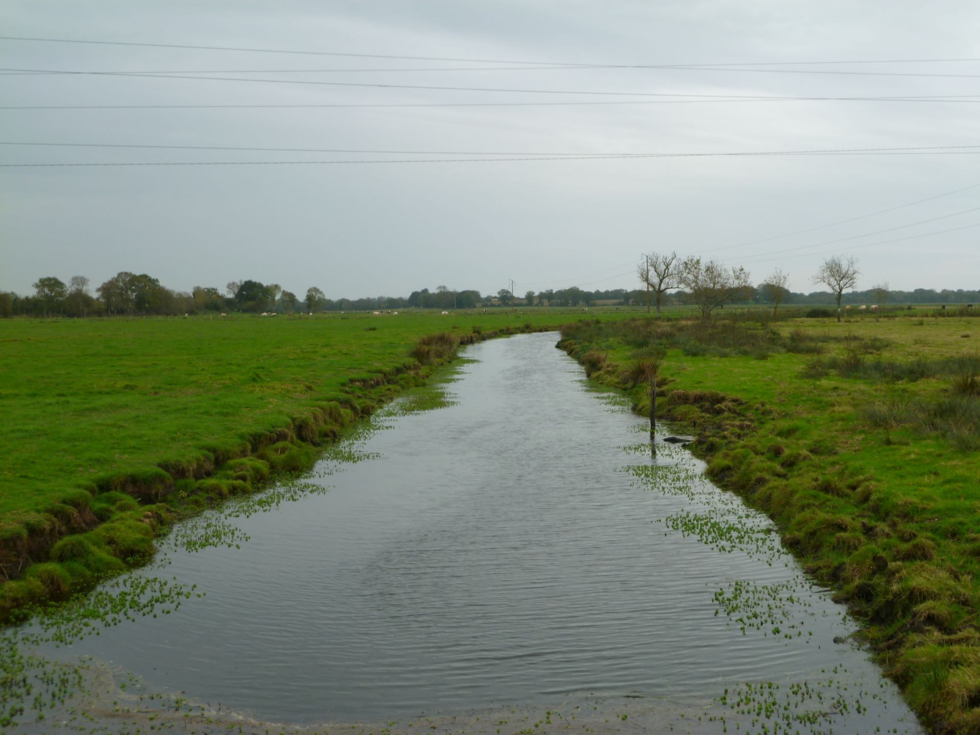 Paysage de Crossac