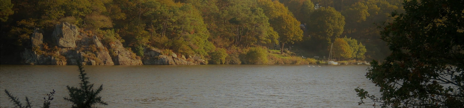 Randonnée  Les Bords de Vilaine - Férel