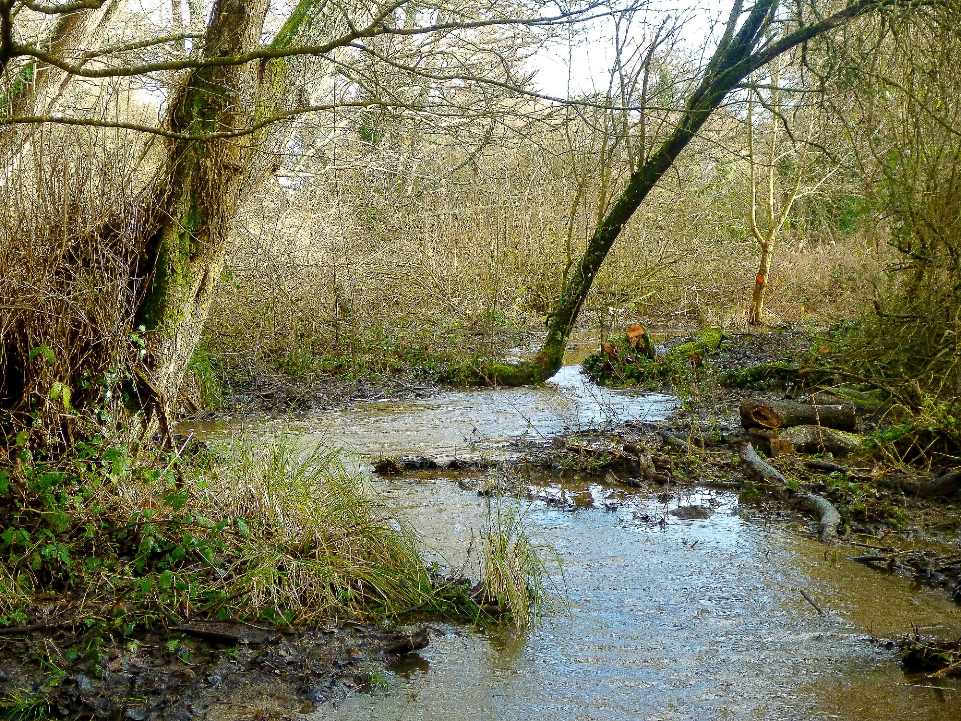 ruisseau du Guern