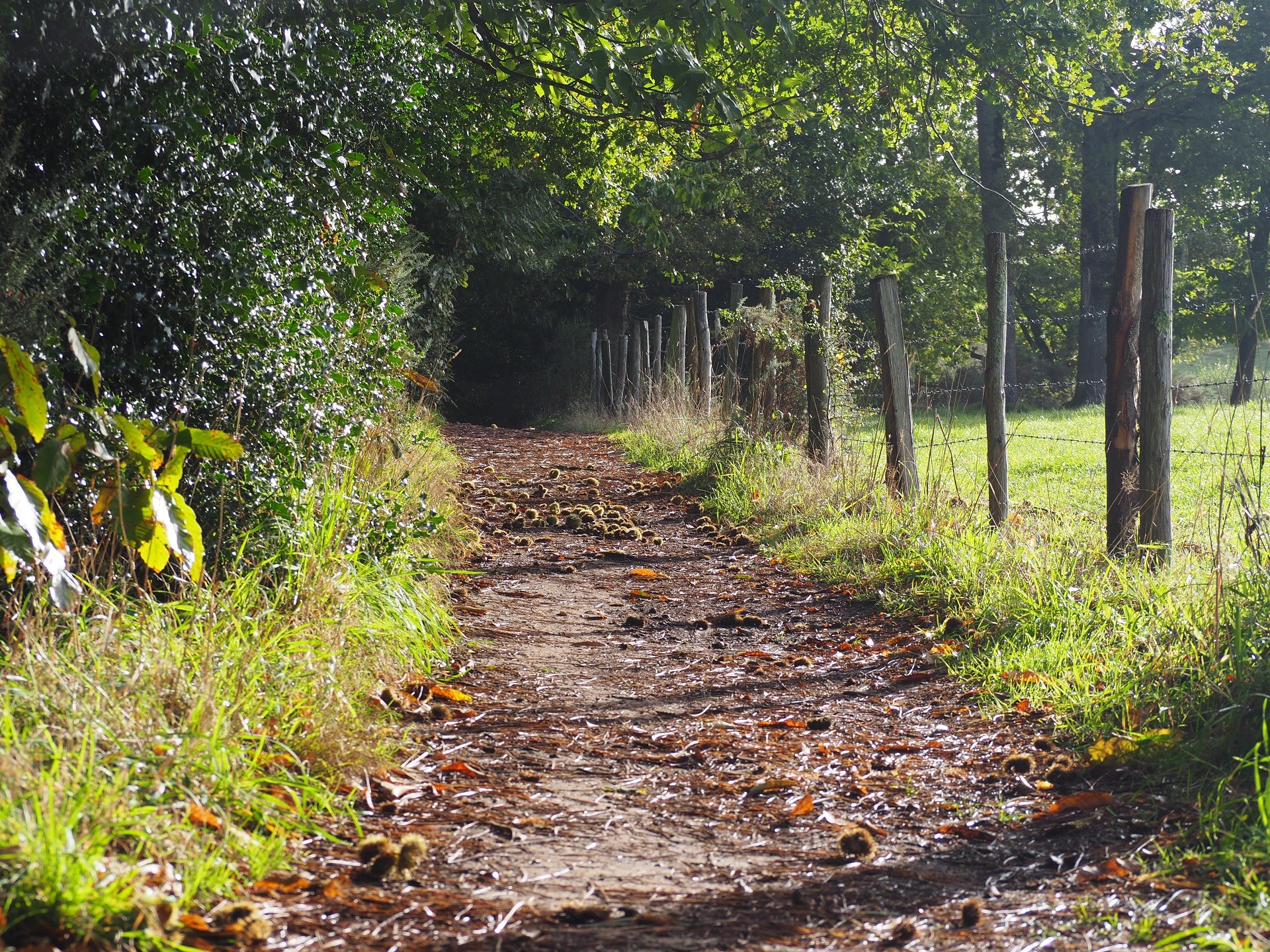 Sentier des rives de Vilaine, Férel, Camoël