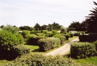 Décor champêtre et boisé du camping le Paradis