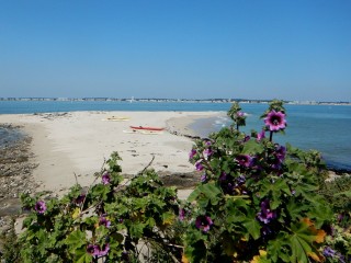 kayak-mer-ckpca-1593993 kayak-mer-ckpca-1593993