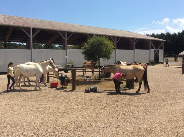 01 - Domaine Equestre de Quérélo - Guérande