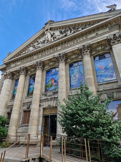 Muséum d'histoire naturelle Nantes - façade