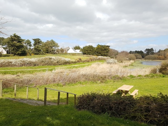 'Belmont' picnic area