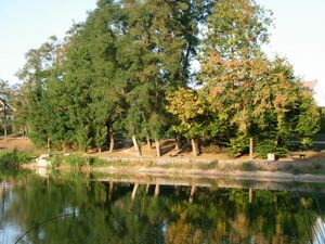 Aire de pique-nique des Fossés Blancs