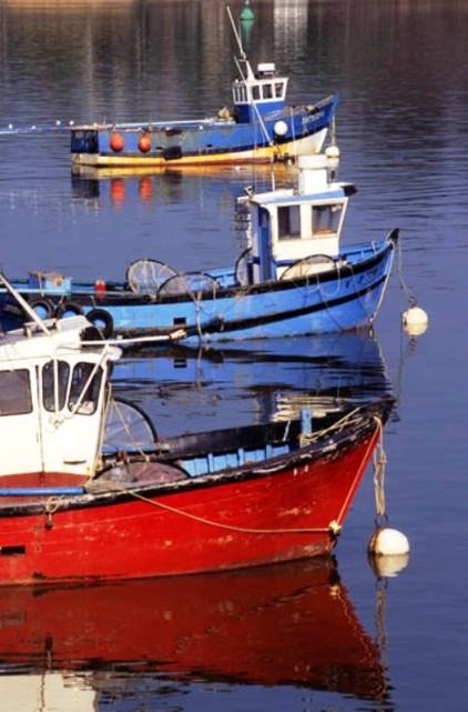 camoel-la-vilaine-142796