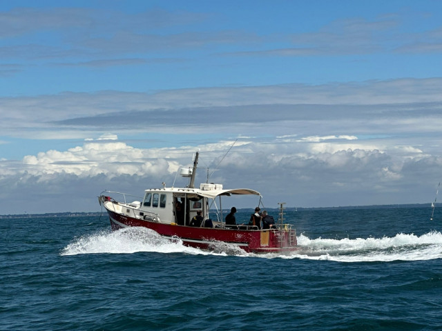 Cooleur-Plongee-piriac-1