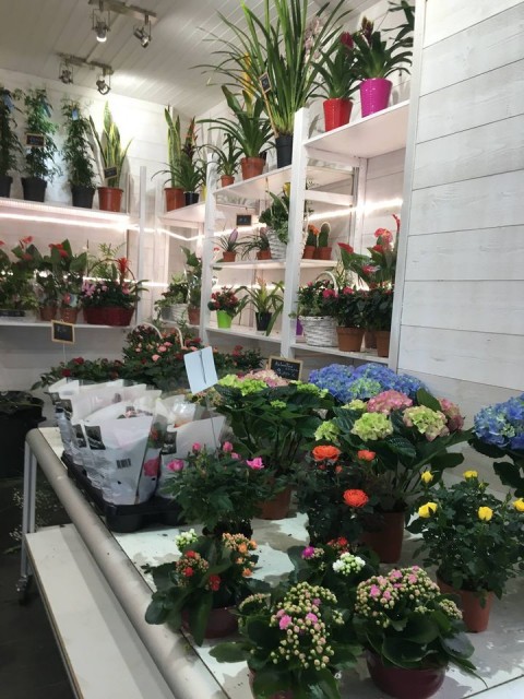 Fleuriste La Halles aux Fleurs Le Pouliguen